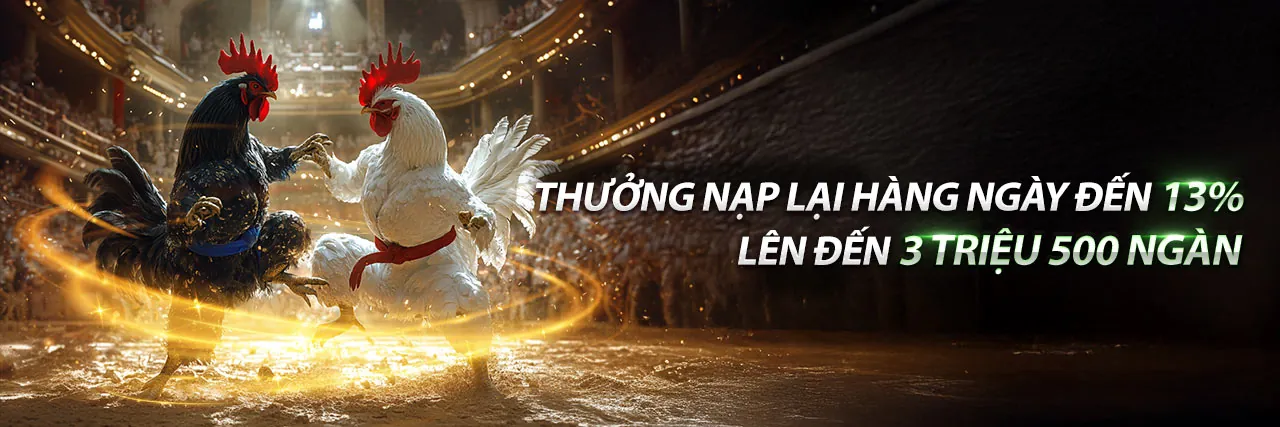 Ưu Đãi Khuyến Mãi bl5555 Hấp Dẫn Nhất 2026